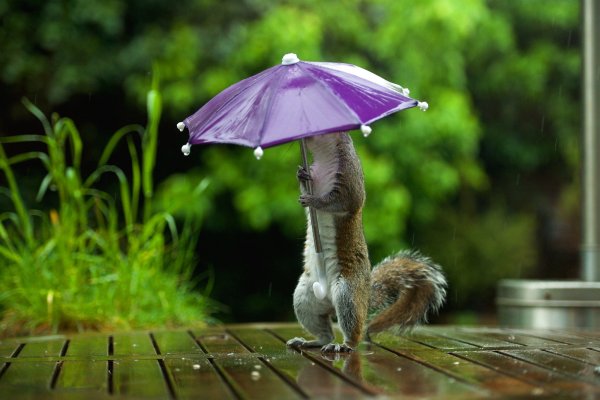 Не было печали просто уходило лето