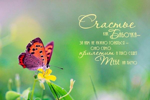 Счастье природа