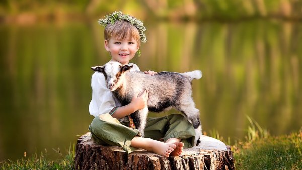 Солнечный цветок