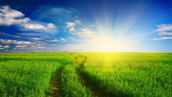 Солнечное небо