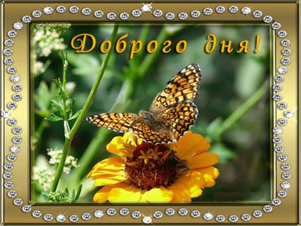 Мерцающие открытки добрый день