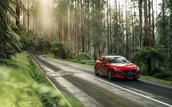 W213 Mercedes около моря