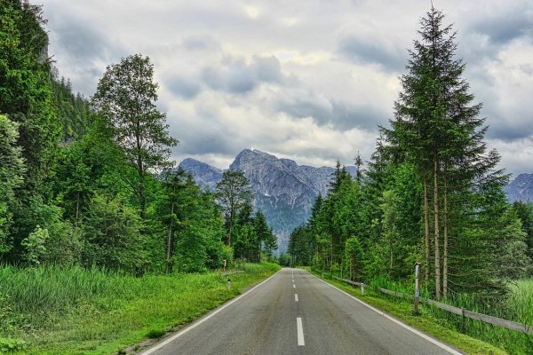Лесная дорога в горах