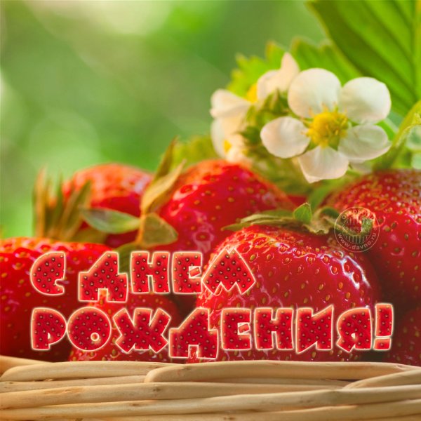 Открытки с днём рождения с клубникой