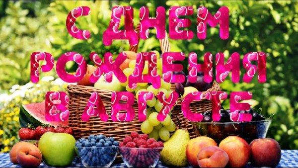 С днём рождения ромашки