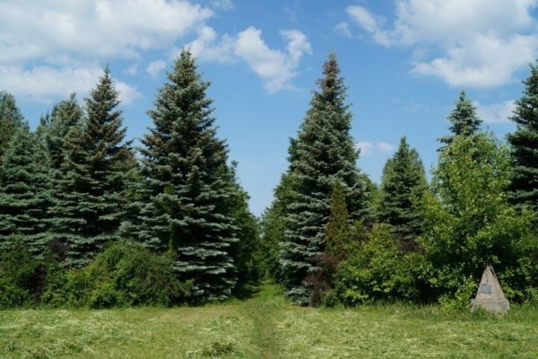 Дендропарк Сергач