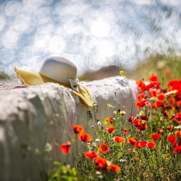 Лето счастье