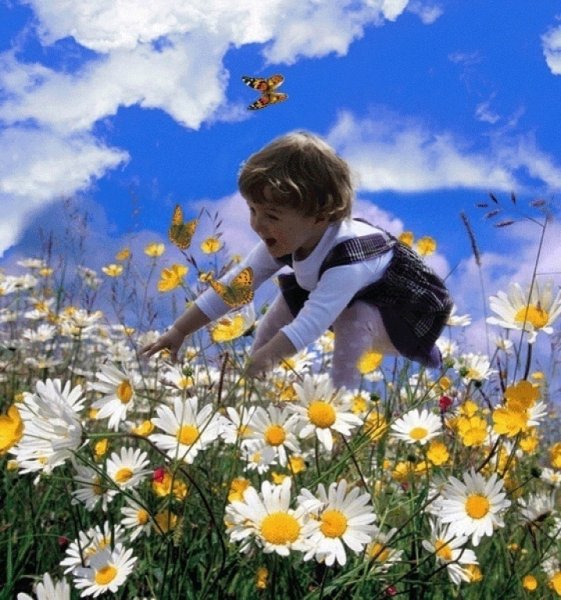 Афоризмы о радости жизни