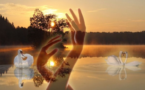 Жизнь прекрасна улыбнись с утра