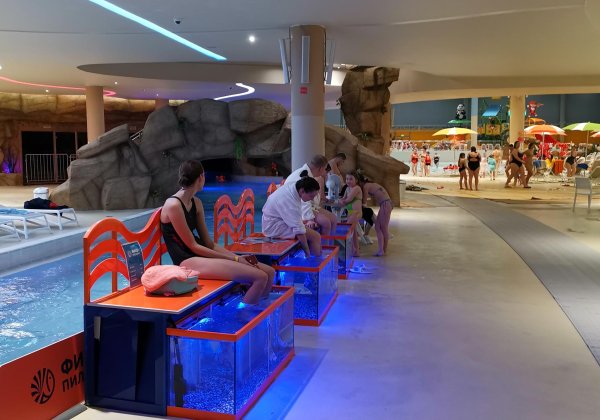 Лето лето спа комплекс Тюмень