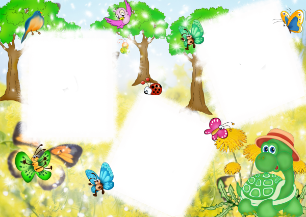 Летние рамки для фотошопа