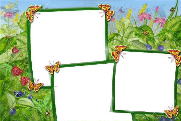 Летняя рамка