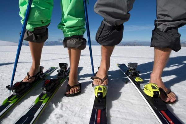 Летние горнолыжные лыжи