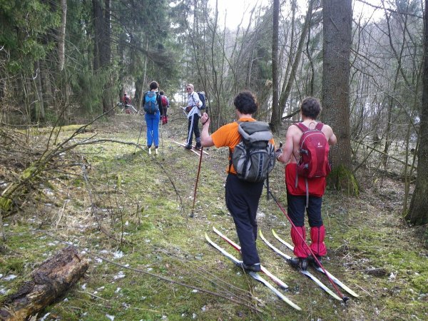 На лыжах по траве