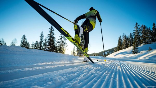 Лыжи картинки