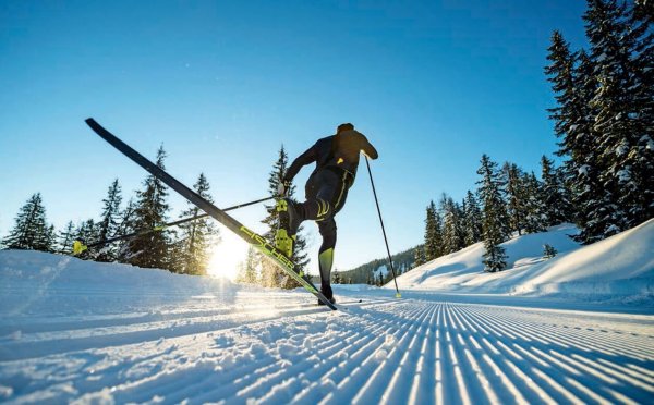 Лыжероллеры Легков