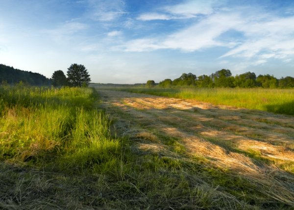 Красивое лето