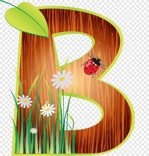 Слово лето на белом фоне