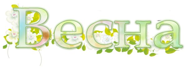 Буквы школа красивые