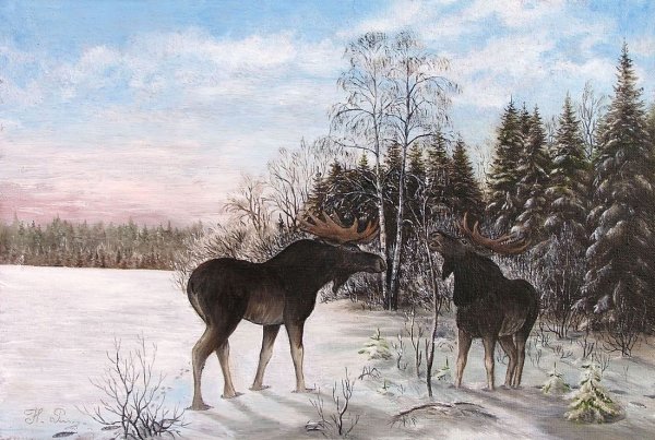 Дикие животные Брянской области