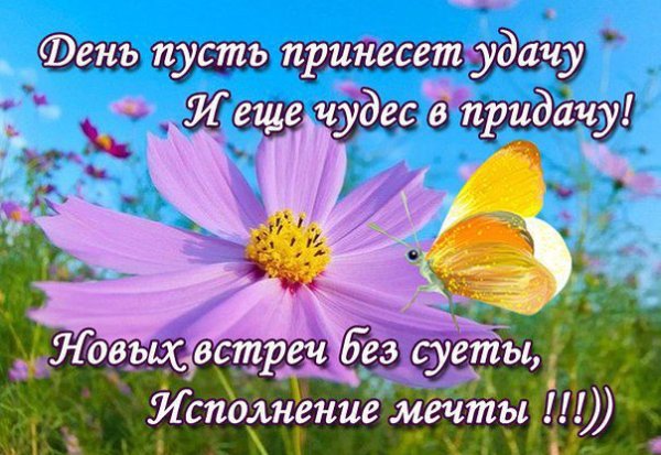 Удачи и хорошего настроения и радости во всем