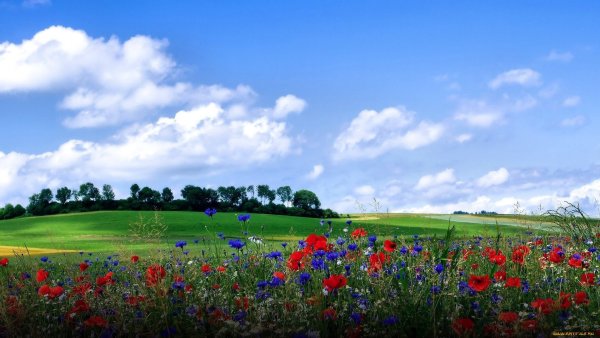 Природа солнце