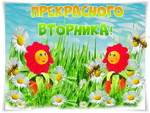 Открытки с добрым днём вторника