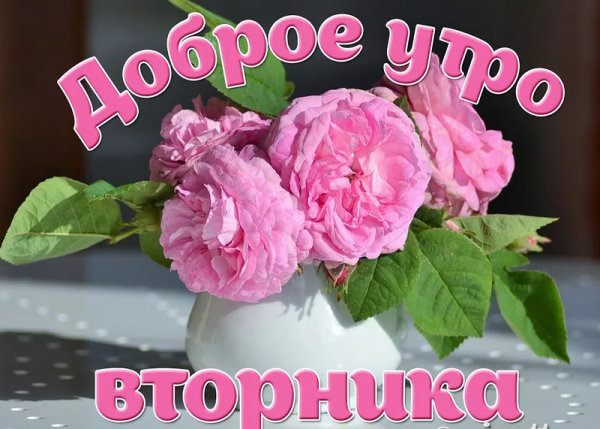 Открытки с летним вторникам
