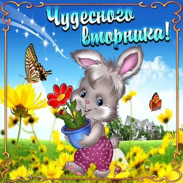 Открытки с летним вторникам
