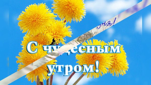 Доброе утро вторника
