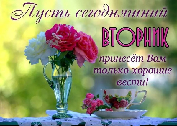 Открытки с добрым утром вторника летние