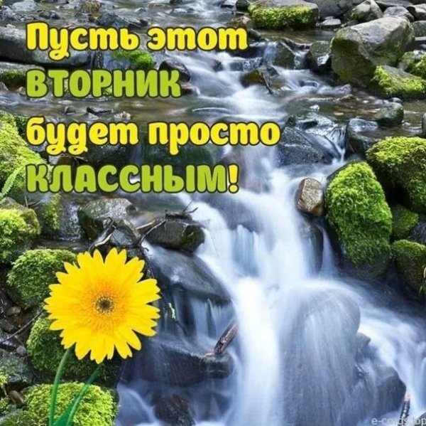 Доброе утро вторника