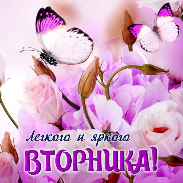 Доброе утро друзья