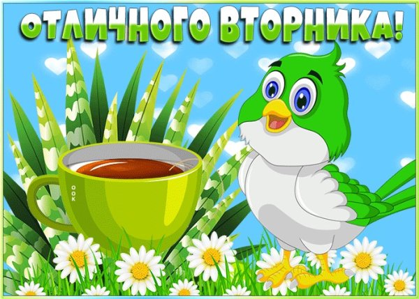 Доброе утро вторника