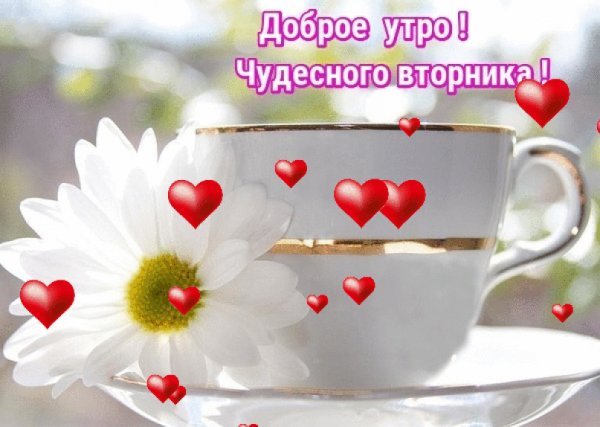 Доброе субботнее утро