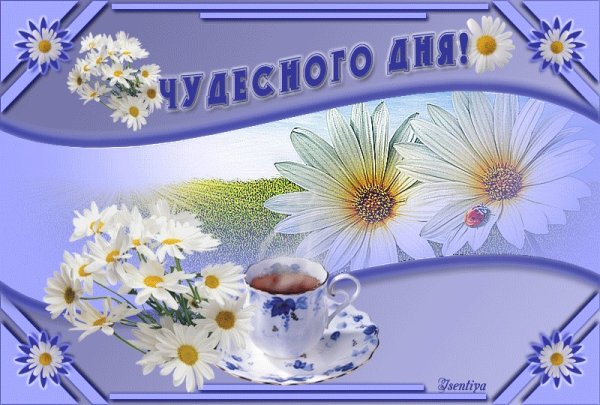 С добрым утром вторника ноября
