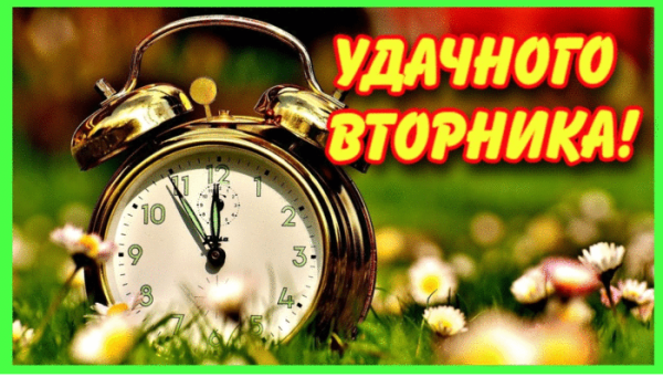 Замечательного вторника и отличного настроения