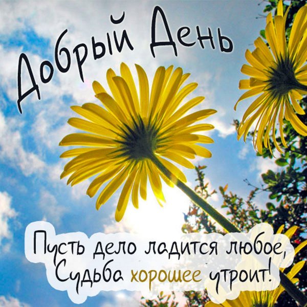 Чудесного утра