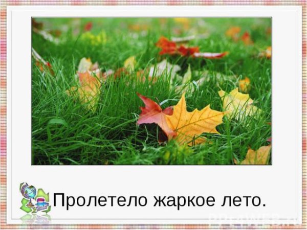 Лето быстро пролетело