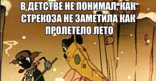 Вот и лето пролетело