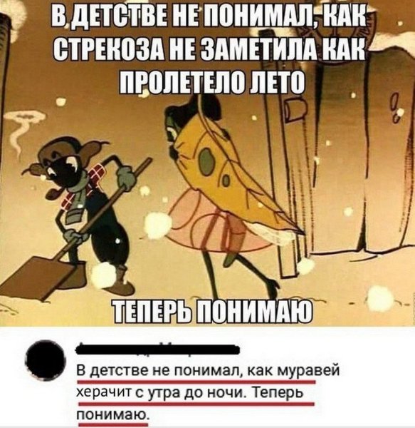 Лето пролетело приколы