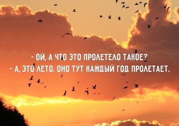 Типичный юмор