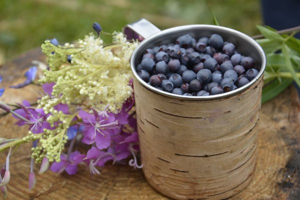 Натюрморт с черникой