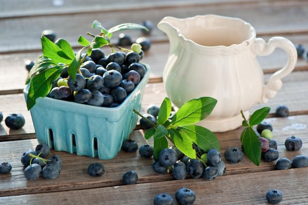 Летние садовые ягоды