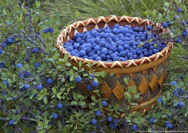 Доброе утро лето фрукты