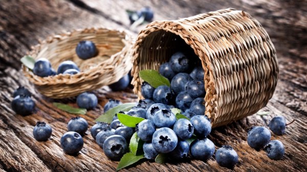 Клюква голубика Морошка