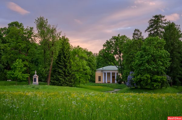 Екатерининский парк Царское село летом