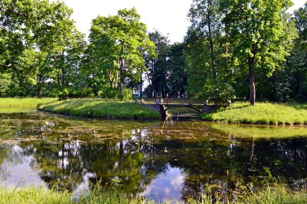 Царское село парк лето