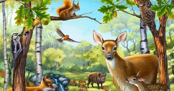 Шипов лес животные