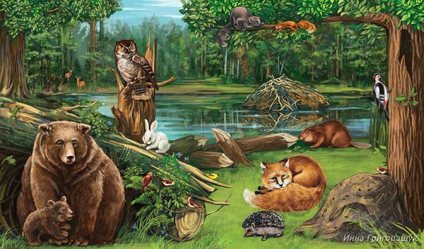 Косуля в широколиственных лесах